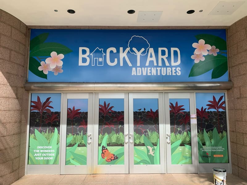 Backyard Adventures storefront window and wall wrap with tropical artwork